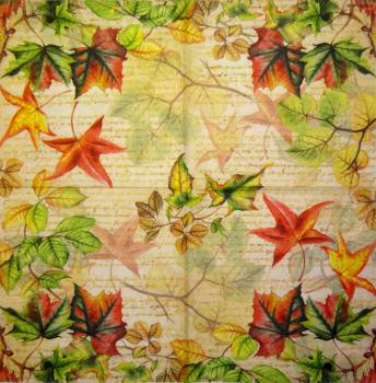 001 Plants - 3 ply - Molca